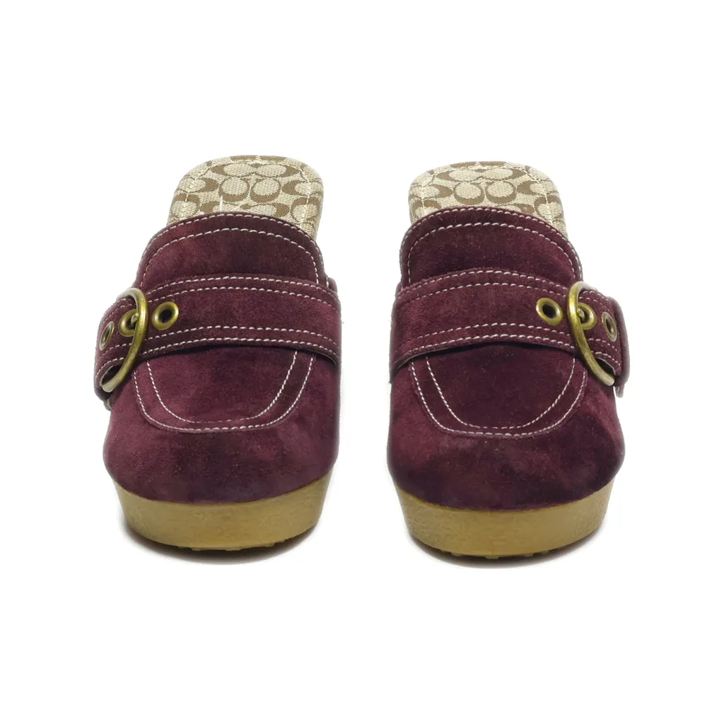 Coach Mules Suede Maroon Colour For Women